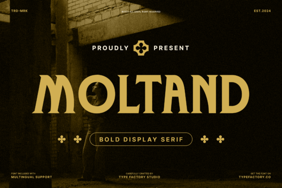 Moltand: A Bold Serif Font That Elevates My Brand